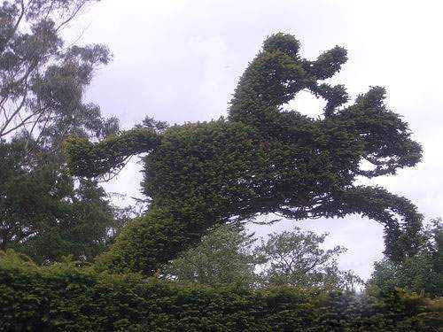 Chinese gardens