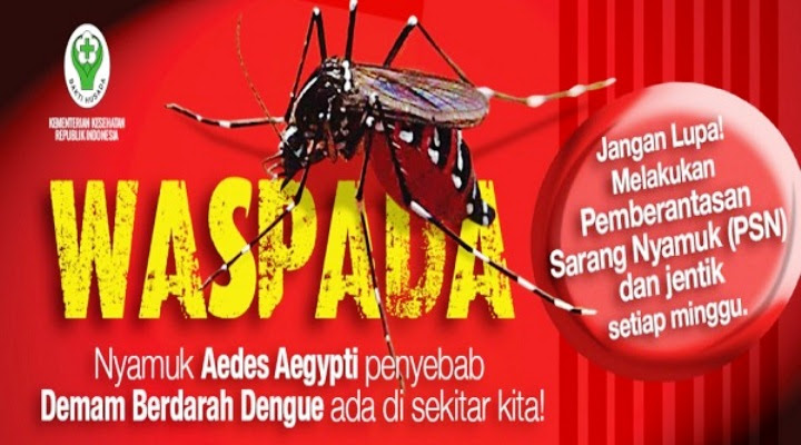 85+ Poster Tentang Nyamuk Demam Berdarah Terbaik - Top Kumpulan Gambar