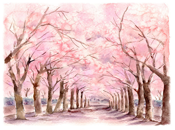 動物の壁紙 エレガント桜並木 イラスト 綺麗