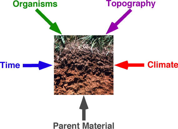 This chapter provides a summary of published literature and a framework. 10 U Soil Pedogenesis