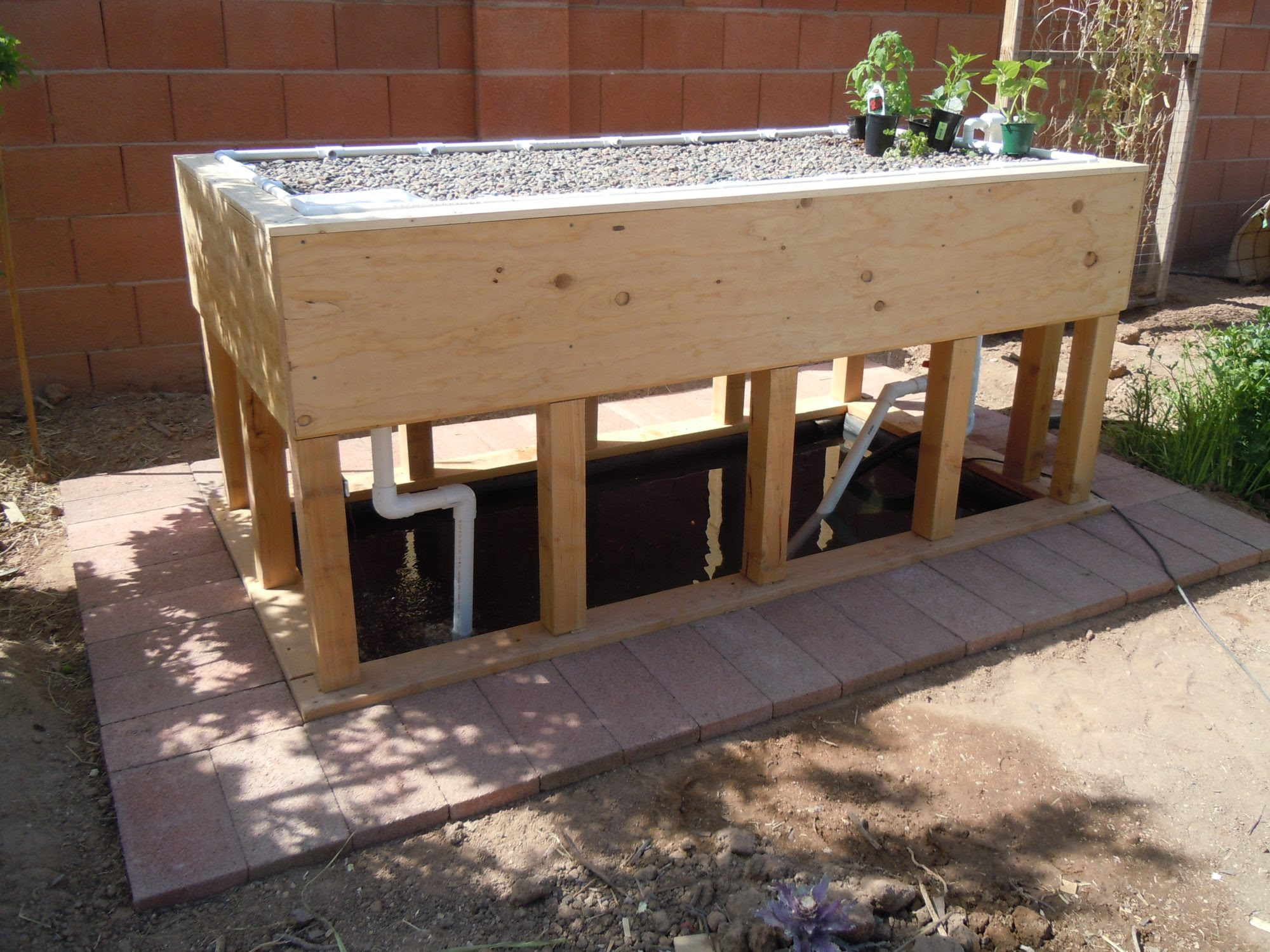 bl system: diy aquaponics ibc tote must see