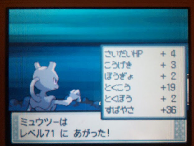 ミュウツー 育成論 Usum