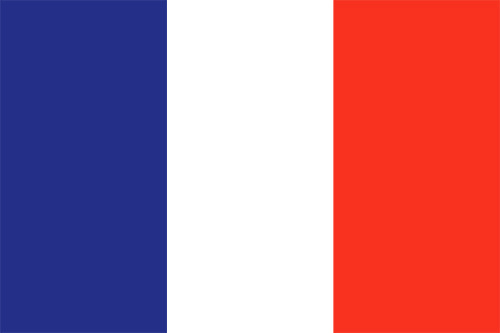 美しい花の画像 元のフランス いらすとや