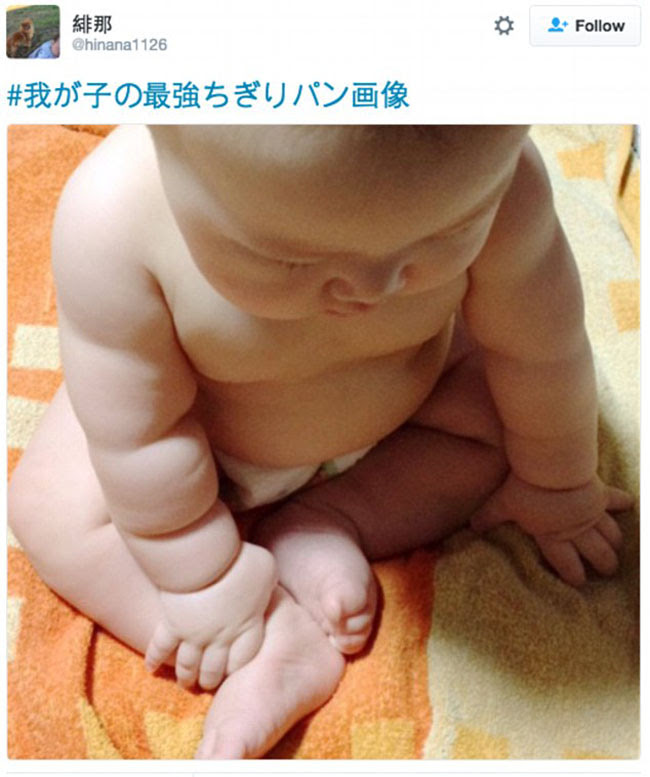 動物画像無料 最新のhd可愛い 日本 の 赤ちゃん