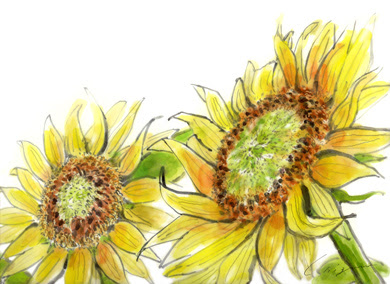 ロイヤリティフリー8月 花 イラスト 美しい花の画像