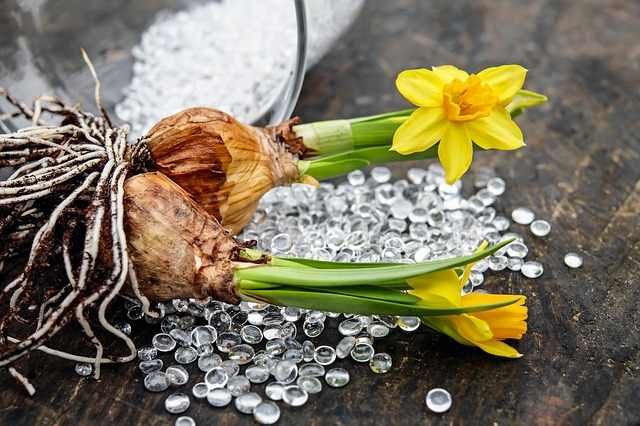 Ordina bulbi di prima qualità su bakker.com, con garanzia di crescita e fioritura al 100%. Quando Piantare I Bulbi Calendario Mese Per Mese Il Sito Dei Quando