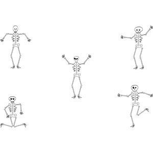 美しい花の画像 50 骸骨 イラスト