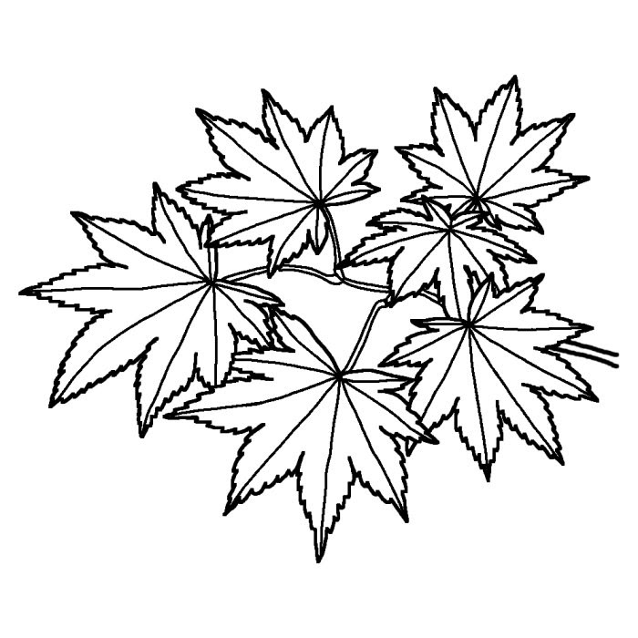 驚くばかりもみじ イラスト 白黒 ただのディズニー画像