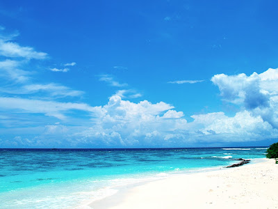 夏 おしゃれ 壁紙 画像 509301