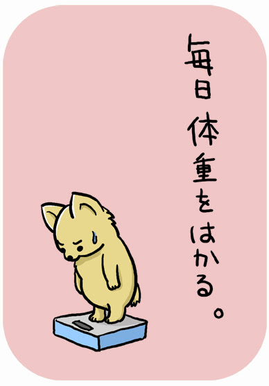 トップ100かわいい 豚 ダイエット イラスト 美しい花の画像