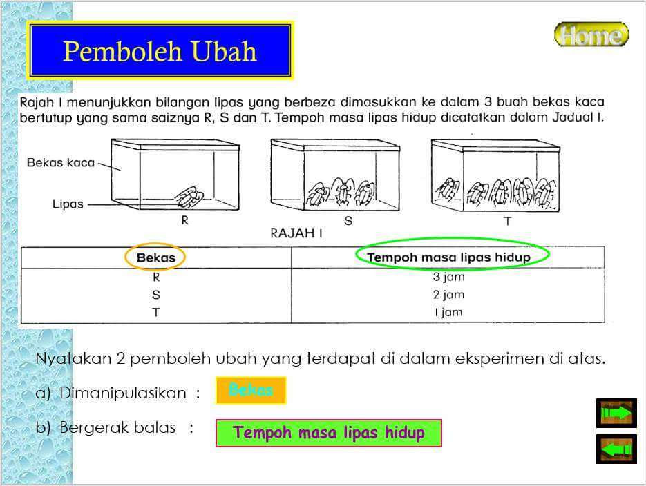 Koleksi Bahan Bantu Belajar BBM TIPS BAGAIMANA 