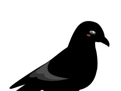 無料イラスト画像 カラス かっこいい イラスト