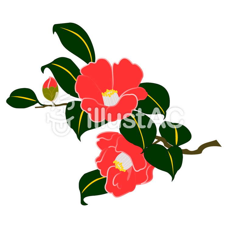 いろいろ 和風 椿 イラスト 白黒 藤の花 イラスト