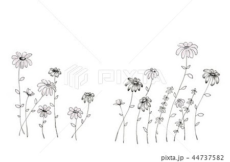 ベスト 花 おしゃれ 画像 イラスト カービィ 壁紙