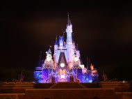 綺麗な待ち受け ディズニー 夜景 壁紙 最高の花の画像
