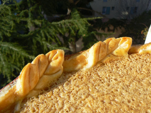 bordure pumpkin pie.jpg