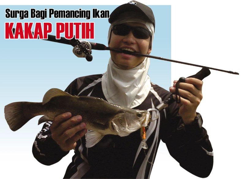 Mancing ikan jenis ini boleh pagi maupun sore hari. Berita Sungai Gung Ketiwon Kota Tegal Surga Bagi Pemancing Ikan