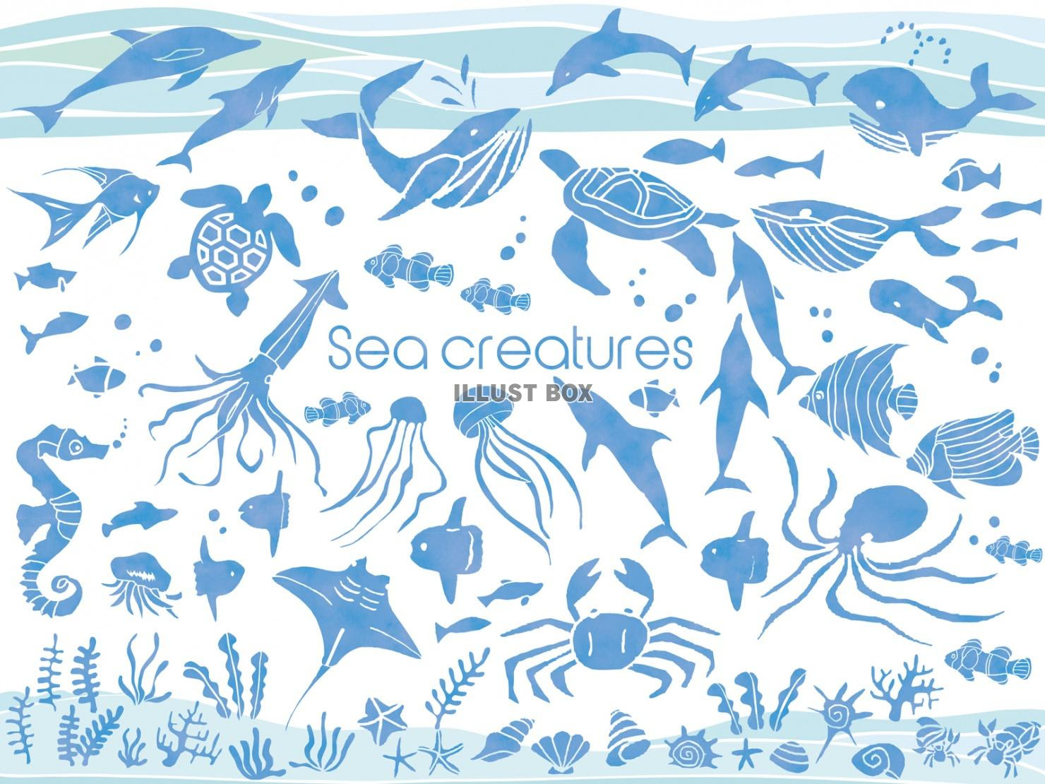美しい花の画像 トップ100 海 魚 イラスト 綺麗
