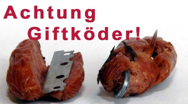Ich will hunde und ihre halter helfen, sich vor giftköder und den verbrechern zu schützen. Rund Um Den Giftkoder Hundefreilauf Eisenach E V