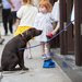 A bill in Albany would allow dogs in restaurants' outdoor spaces, which would be fine with this Manhattan patron.