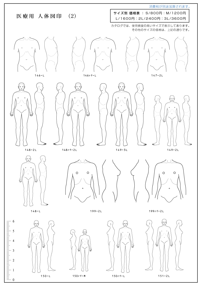 ベスト 人間 ポーズ集 人間 ポーズ集
