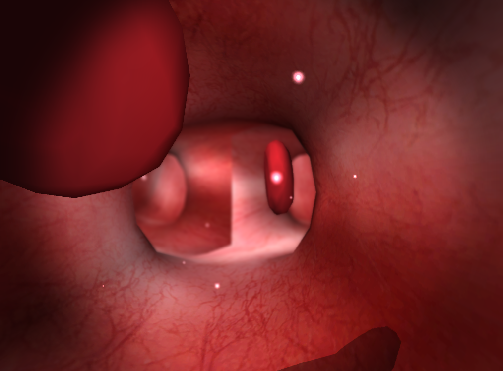 Bloodstream
