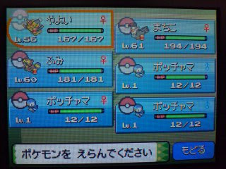 最高 ポケモン プラチナ ポッチャマ 100 で最高の画像