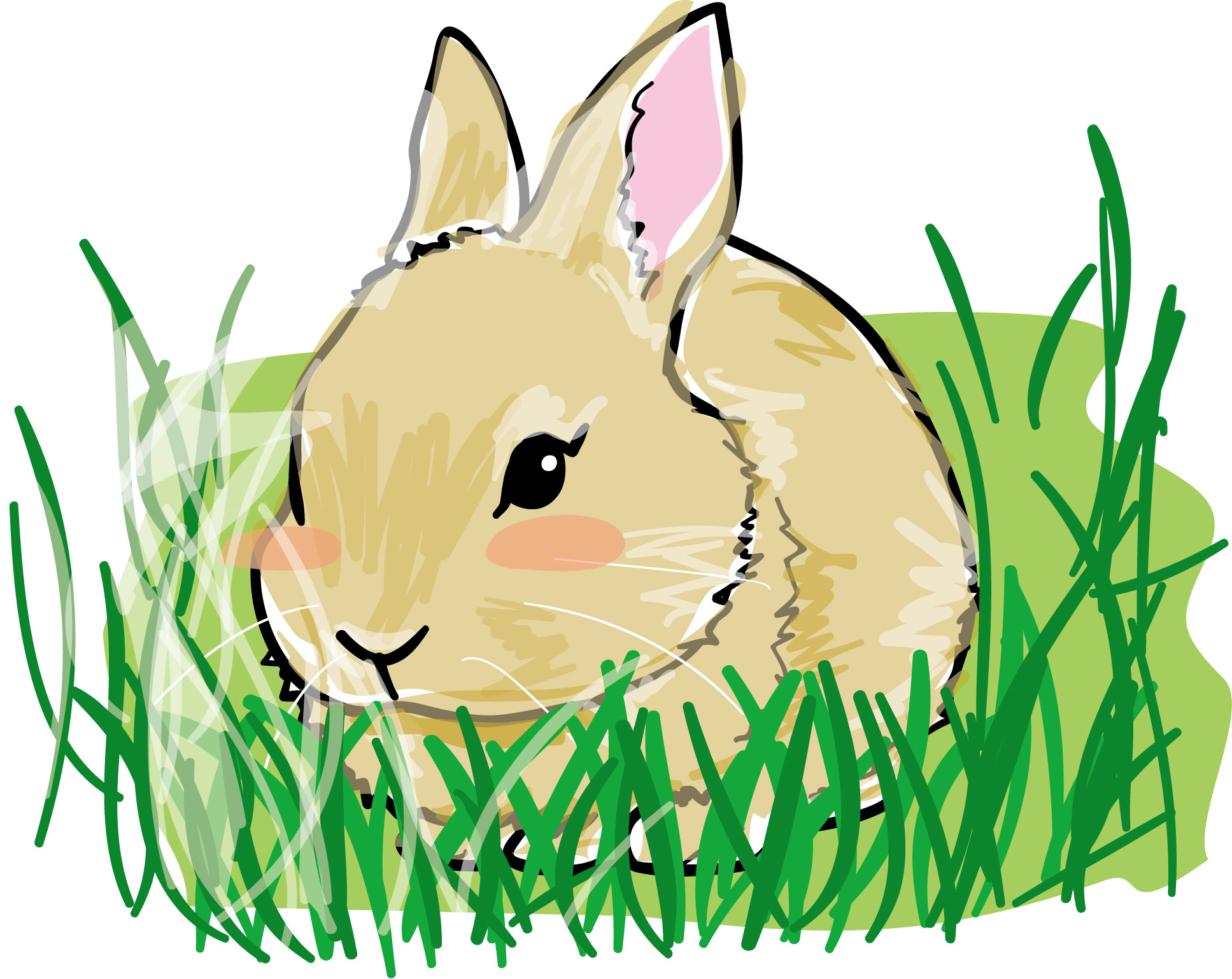 最も欲しかった うさぎ 横向き イラスト 可愛い ただクールなキャラクター