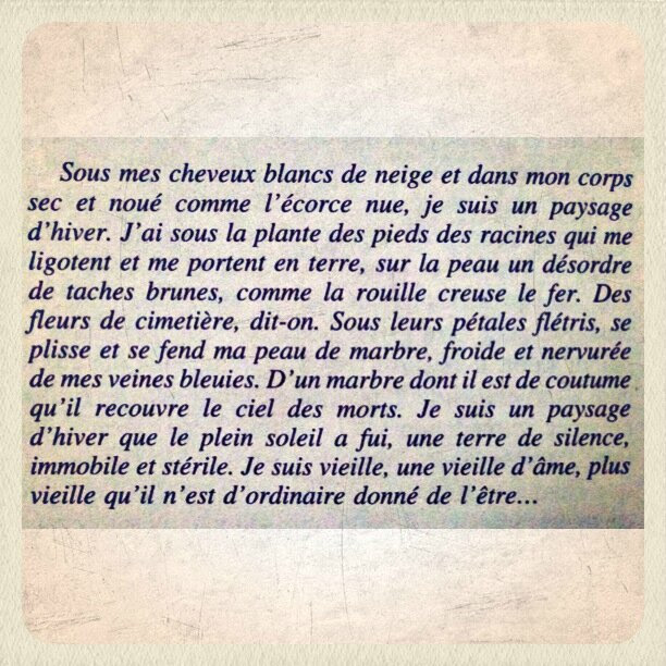 Texte Sur Le Bonheur Et Lamour Exemple De Texte