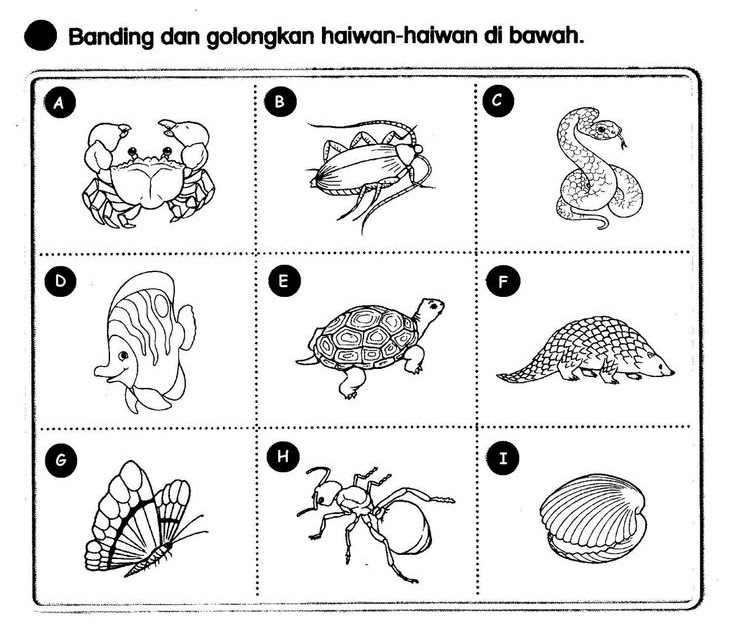 Contoh Soalan Bahasa Melayu Kertas 2 Tahun 3 - Persoalan s