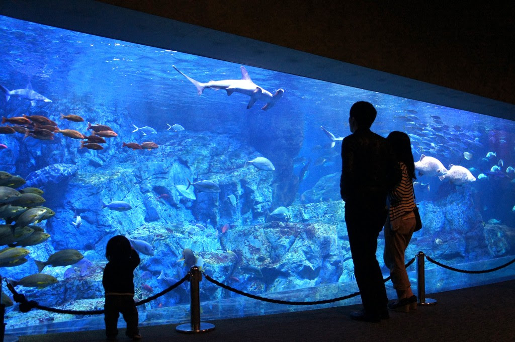 元の水族館 デート 服装 付き合う 前 冬 ファッショントレンドについて