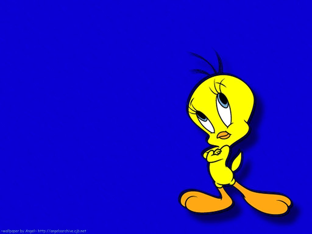 50 素晴らしいtweety 壁紙 最高の花の画像
