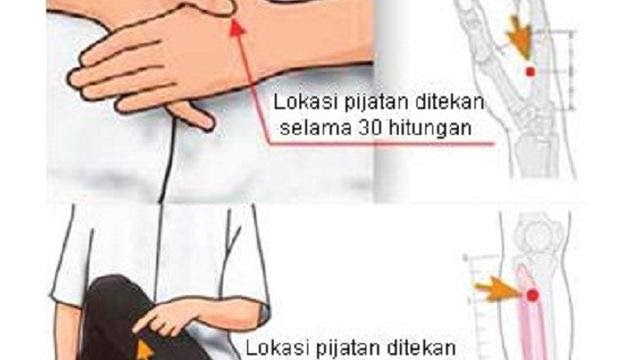 Ilustrasi Pms Animasi  Nyeri Haid  Paimin Gambar