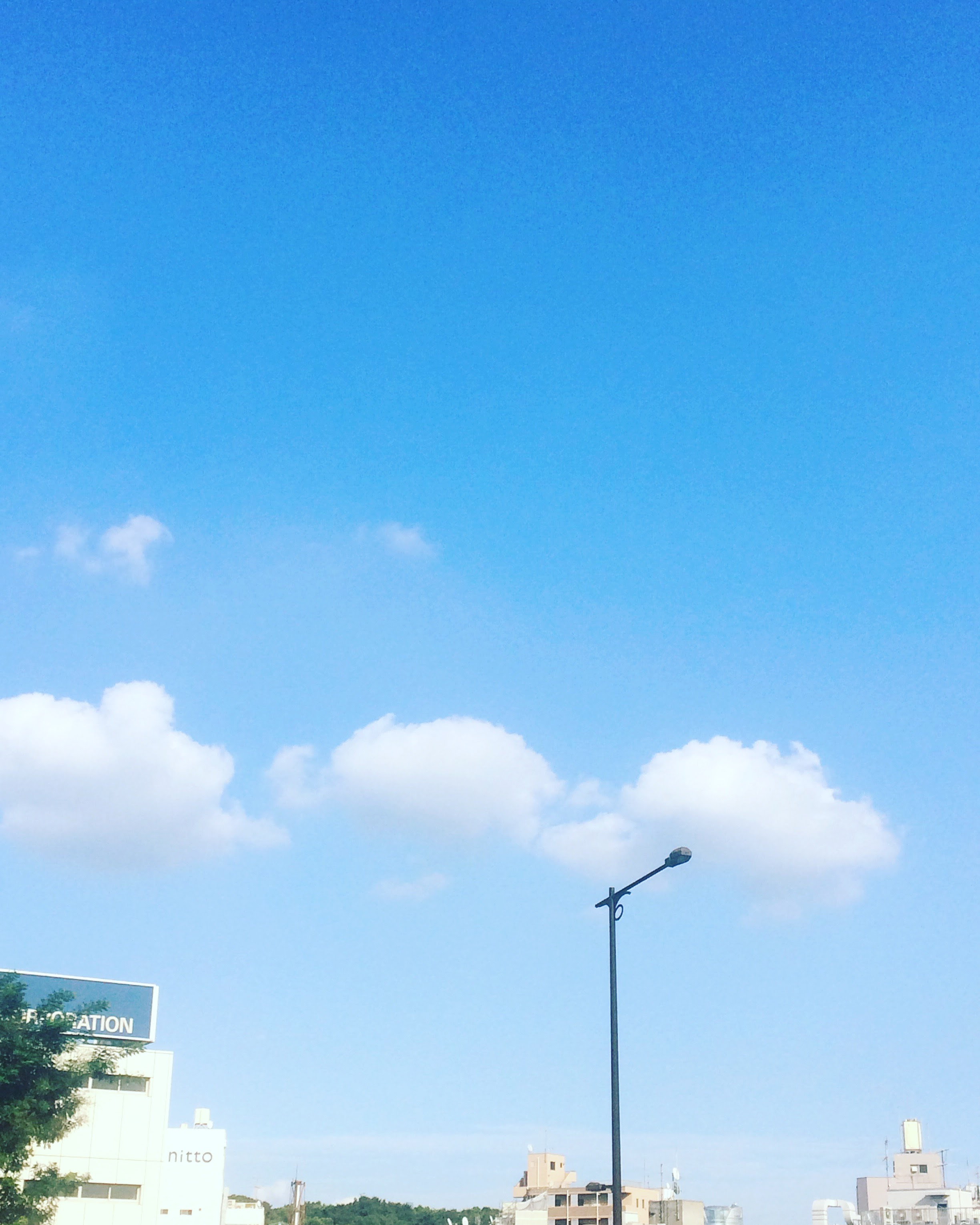 動物画像無料 50 可愛い 空 画像