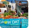 vendor of the week