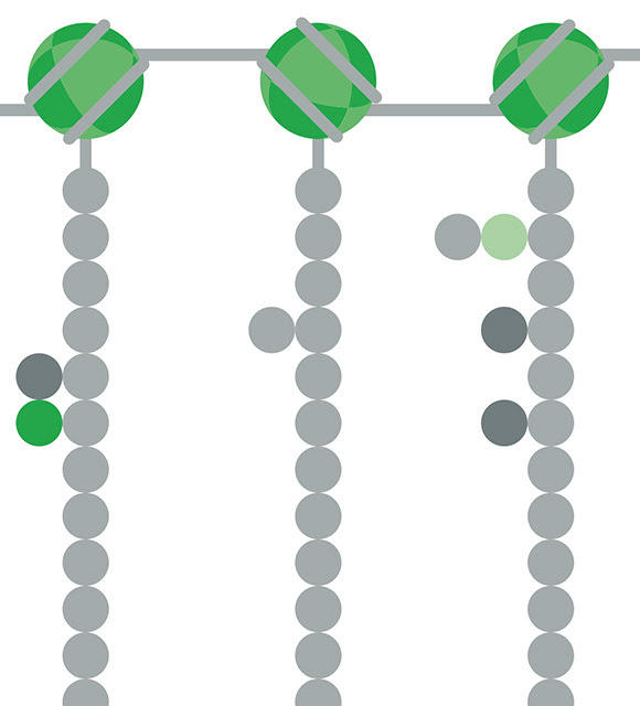 Histone modifications