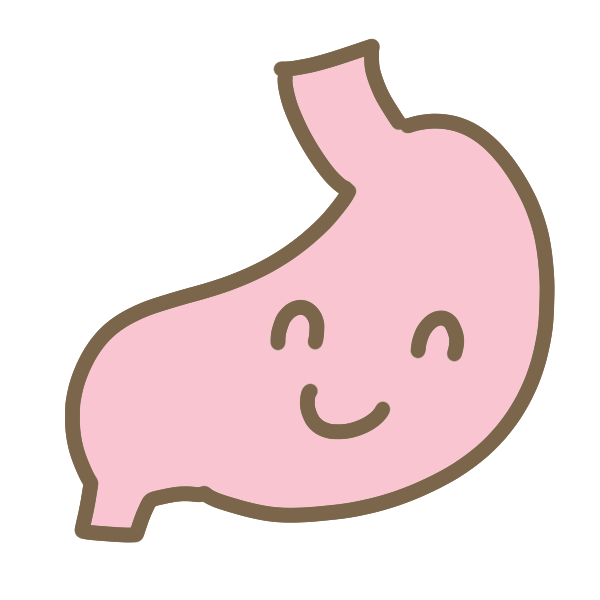 100 胃袋 イラスト Free Illustration Material