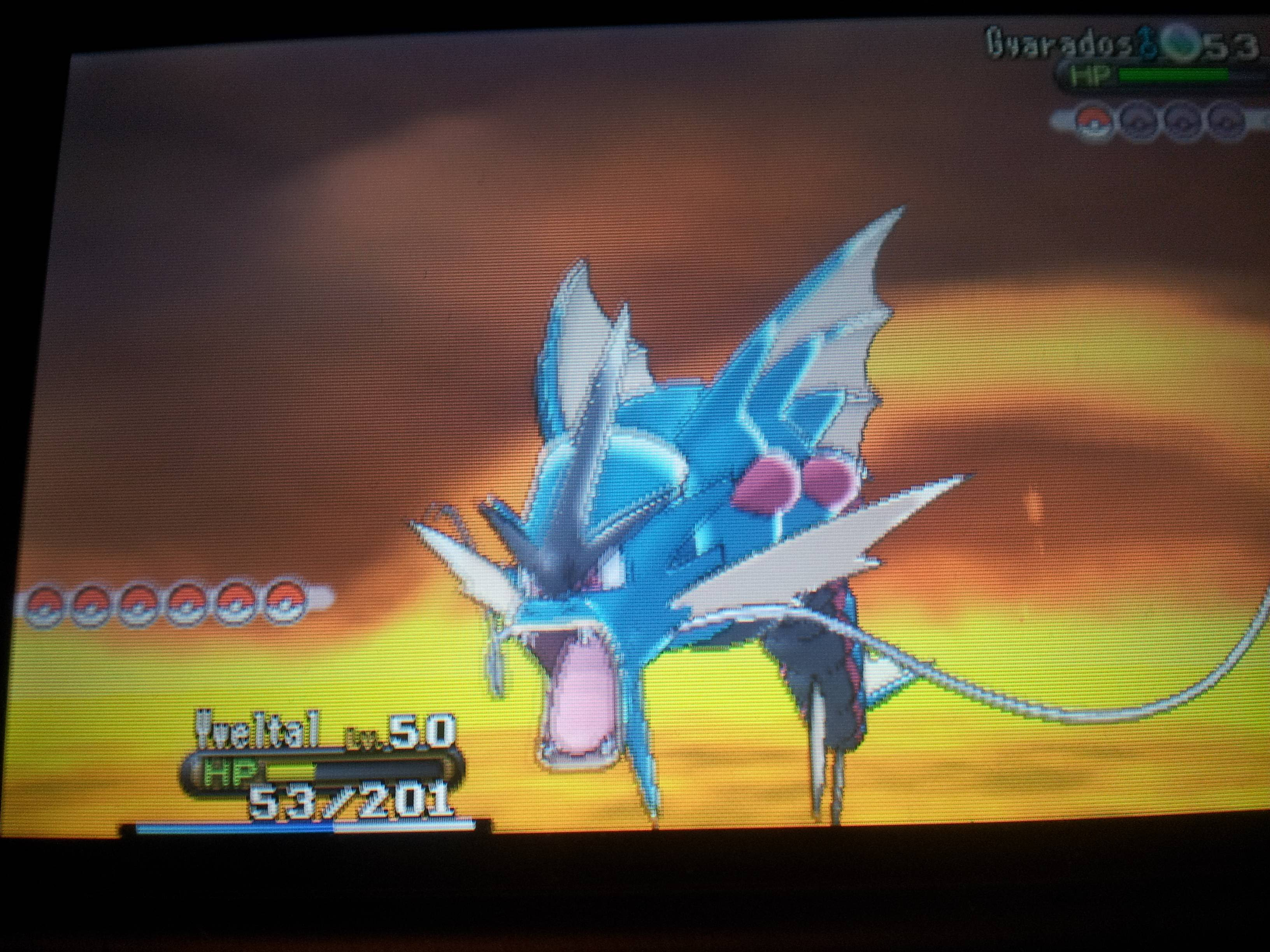 ポケモンxy メガボーマンダ 最高のイラストと図面