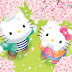 Wallpaper Kucing Lucu Pink - Gambar Kucing Lucu Warna Pink / Banyak juga anak kucing anggora, persia, himalaya, dan lainnya.