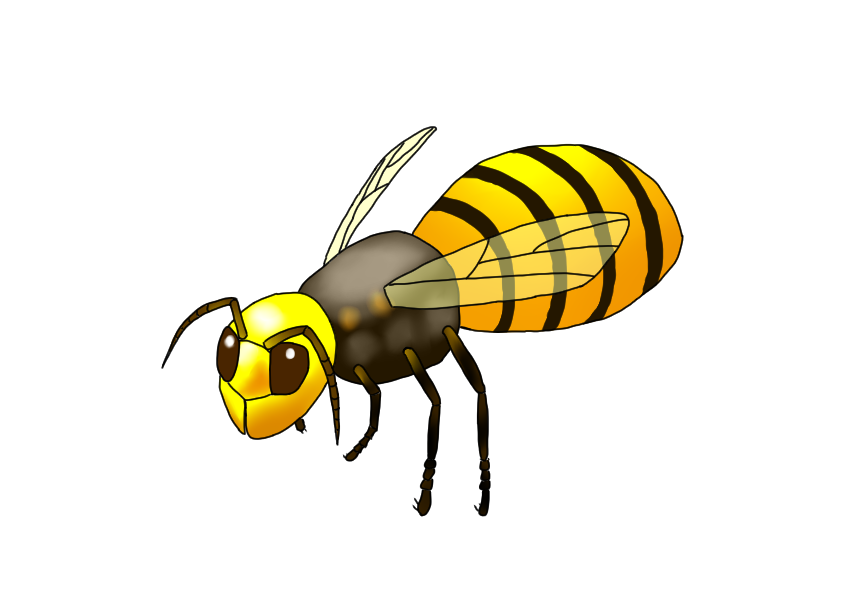 最高の動物画像 ぜいたく蜂 イラスト リアル