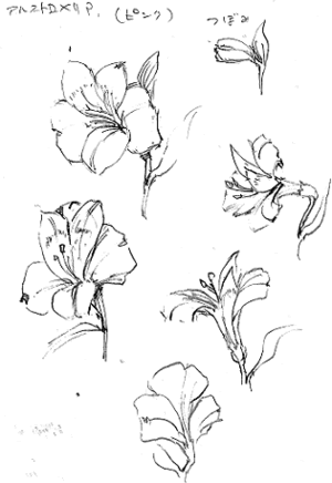最高かつ最も包括的な花 イラスト 描き 方 簡単 最高の花の画像