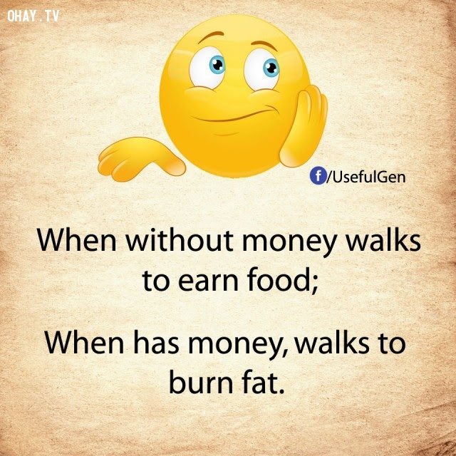 3. Khi không tiền phải đi kiếm thức ăn.                          Khi có tiền phải đi để đốt cháy chất                          béo.,nghịch lý cuộc sống,khi không tiền,khi có                          tiền,suy ngẫm,câu nói hài,câu nói troll