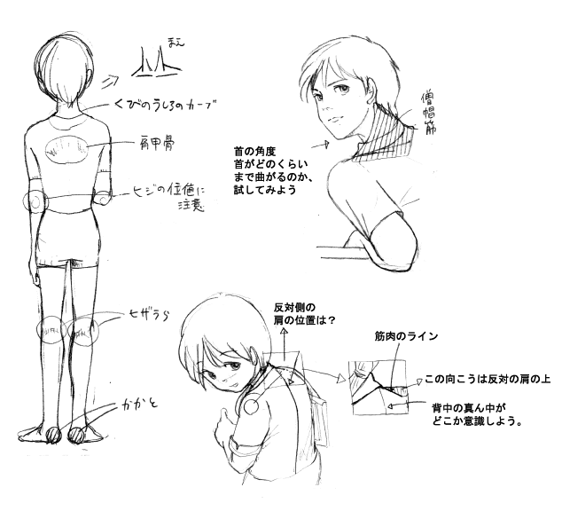 あなたのためのイラスト トップ100 振り向く イラスト 描き方