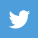 twitter
                                                          button