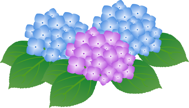 選択した画像 6がつの花 イラスト ただ素晴らしい花