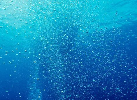 印刷 海の中 フリー素材 海の中 フリー素材