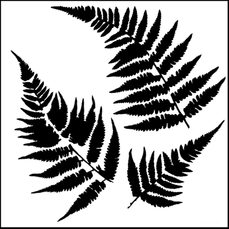 Palm fronds stencils on wall. Free Fern Stencil Cliparts Download Free Fern Stencil Cliparts Png Images Free Cliparts On Clipart Library