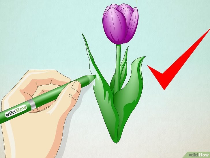 Paling Bagus 25 Lukisan Bunga Tulip Yang Mudah Gambar 