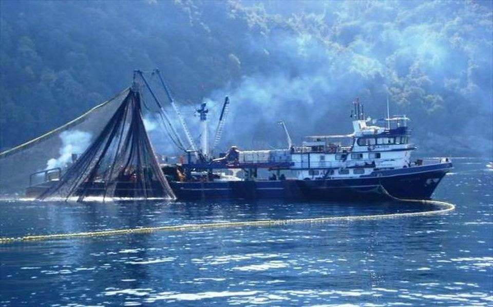 Αποτέλεσμα εικόνας για κουνουπελι ηλειας