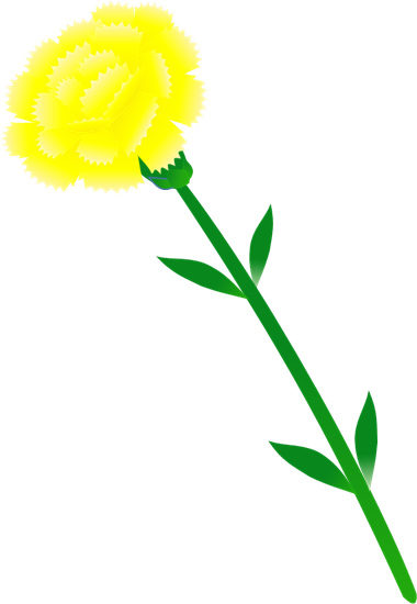 心に強く訴えるイラスト カーネーション 美しい花の画像